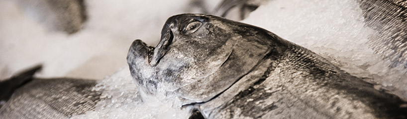 Launay's Restaurant - Brittany Seafood Showcase