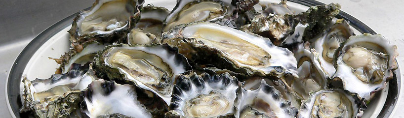 Launay's Restaurant - Brittany Seafood Showcase