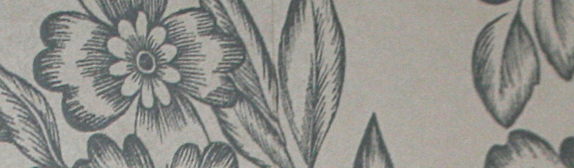 Enquiries at Launay's Restaurant